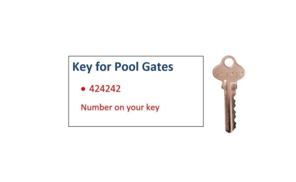 Pool Gate Key - 424242