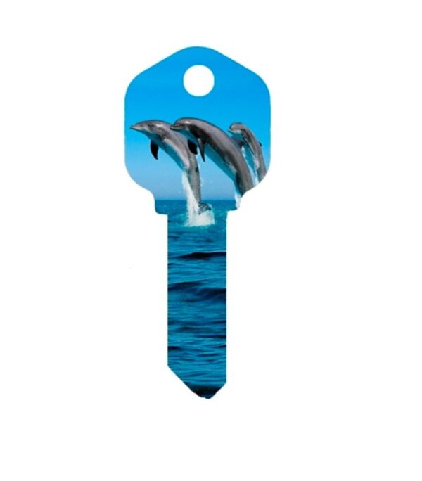 Dolphins House Key - Suits LW4