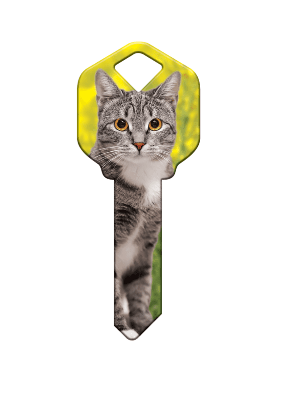Silver Tabby House Key - Suits LW4